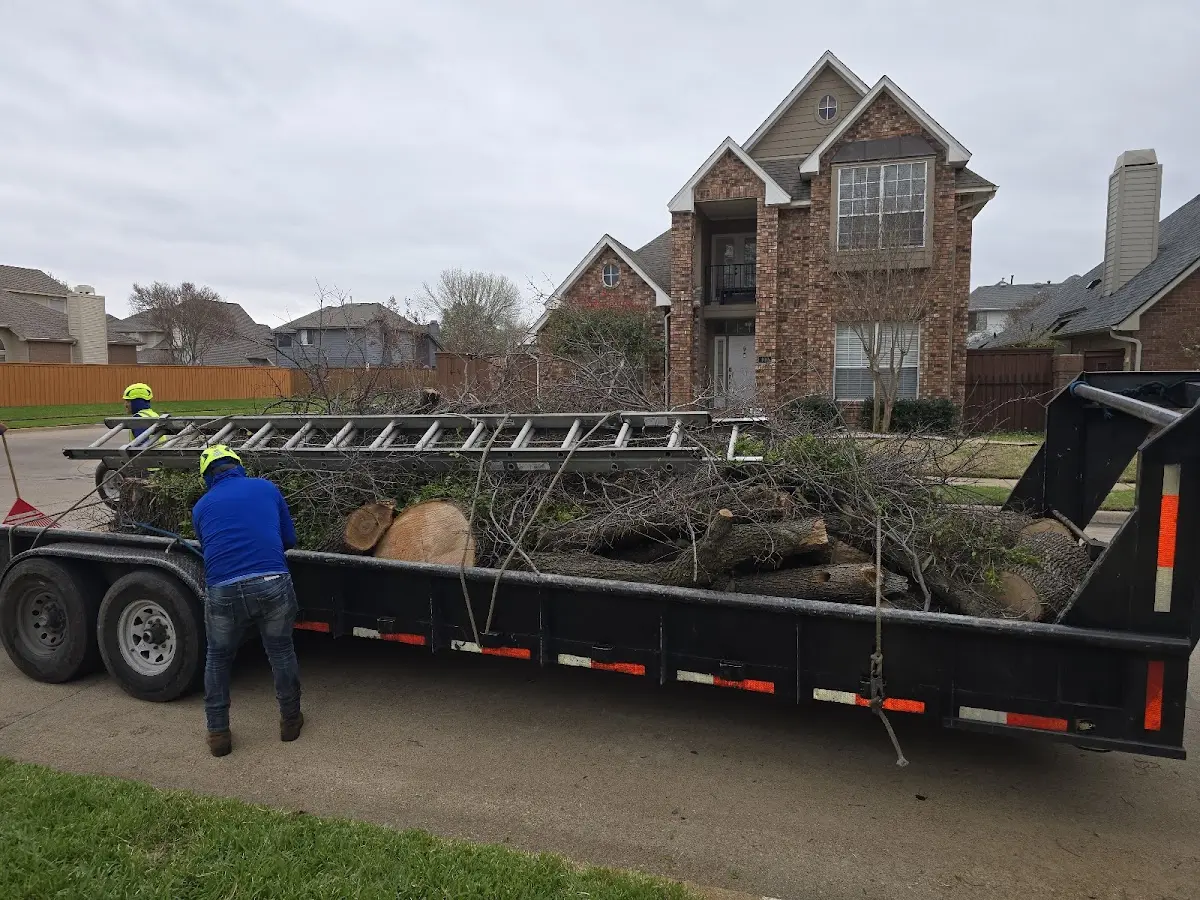 Expert Crown Reduction with proper safety equipment in Haydenville
